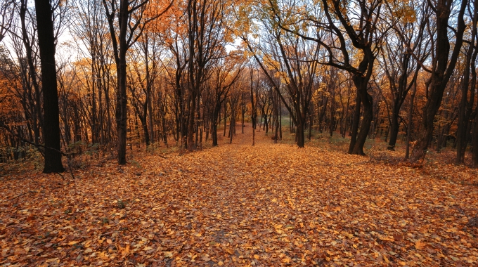 Herbst – Nehmen Sie sich Zeit für Nostalgie